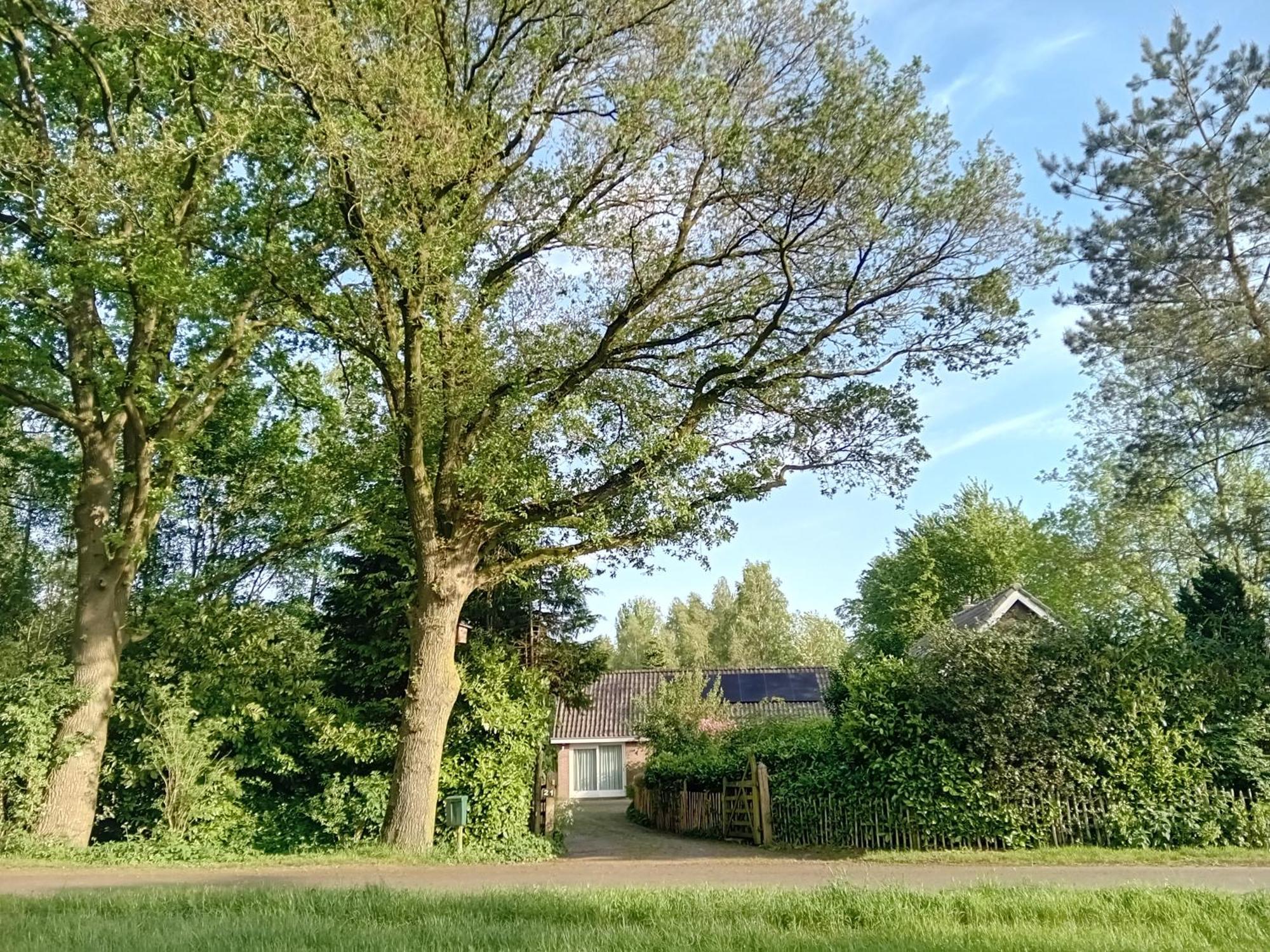 Hemrik Ruim Huisje Op Een Prachtige Plek מראה חיצוני תמונה